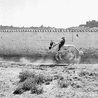 Il giro dell’occhio. Fotografie 1950-2010