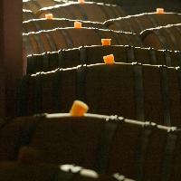 Visit Brescia - Lonato del Garda - Cantina Perla del Garda - Barricaia 