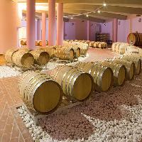 Visit Brescia - Lonato del Garda - Cantina Perla del Garda - Barricaia 