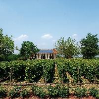 Visit Brescia - Strada Colli dei Longobardi - Tenuta la Vigna