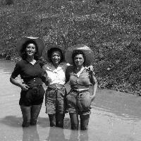 Gruppo di mondine in posa in un canale delle valli carpigiane, databile 1947-1948, Fondo Gasparini