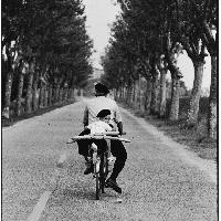 Elliott Erwitt, FRANCE, Provence, 1955 © Elliott Erwitt 