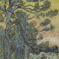 Vincent Van Gogh Pini al tramonto Dicembre 1889