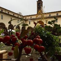 Natale nel Chiostro