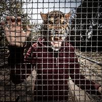 A casa allo zoo