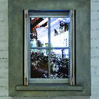 Leandro Erlich Window captive reflection (2013)