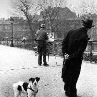 	 Robert Doisneau, Fox terrier au pont des Arts, 1953 © Robert Doisneau