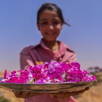 La Rosa di Damasco - Dalla Siria a Torino