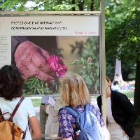 La Rosa di Damasco - Dalla Siria a Torino