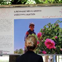 La Rosa di Damasco - Dalla Siria a Torino