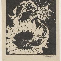 Maurits Cornelis Escher Girasoli, 1918