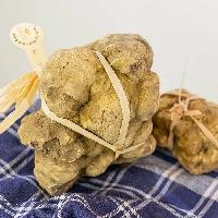 93ª edizione della Fiera Internazionale del Tartufo Bianco d’Alba