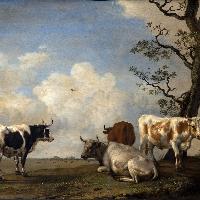 Battaglia di Torino