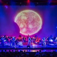 The Wall Live Orchestra