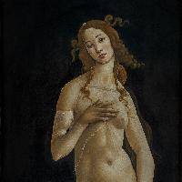 Sandro Filipepi, detto Botticelli Venere 1485-1490 Olio su tela