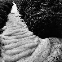 Giorgio Lotti, Inquinamento del fiume Lambro, 1972