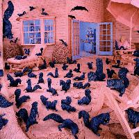 Sandy Skoglund, Gathering Paradise, 1991, ©Sandy Skoglund - Courtesy Paci contemporary gallery (Brescia- Porto Cervo, IT)