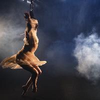 Estate Reale 2025 ai Musei Reali di Torino