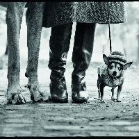 Elliott Erwitt USA. New York City, 1974