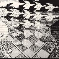Maurits Cornelis Escher Giorno e notte, Febbraio 1938