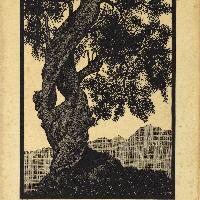Maurits Cornelis Escher Vecchio ulivo, Corsica, 1934