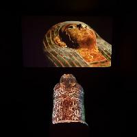 Gli Egizi e i doni del Nilo (allestimento Ragusa)