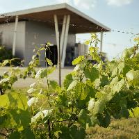 Cantina Ventiventi