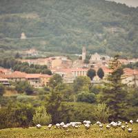 Stefano Caimi, Fairy Ring, Olimpia Contemporanea, ph. credit Letizia Toscano
