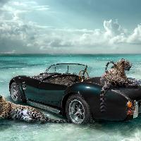 ADVERTISING_Cheraine Collette_no-limit_