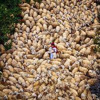 JOURNEYS & ADVENTURES_Maria Gabriela Rocha Gomezon_the way home