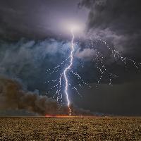 THE BEAUTY OF NATURE_Connor Healey_persephone\'s conception