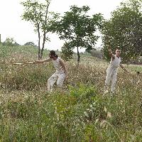 NICOLA GALLI _ TIR DANZA _ Cosmorama  _2