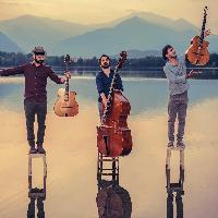 Accordi Disaccordi (di Gabriella di Muro) 