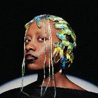 Cecile McLorin Salvant (di Karolis Kaminskas)