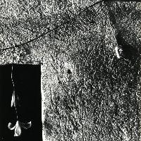Antonio Biasiucci, Senza Titolo, 1985