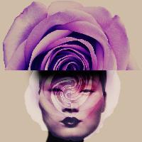 Giovanni Gastel, Flowers 23, 2020