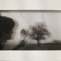 Letizia Rostagno, Sono dunque solo sulla terra 2020, 32 x 49 cornice High, Courtesy ADGALLERY