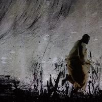 William Kentridge, More Sweetly Play The Dance and Remembering Morandi, Palazzo Citterio - La Grande Brera, 2026