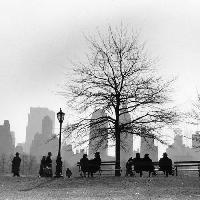 Ruth Orkin, CPS Silhouette, New York City, 1955
