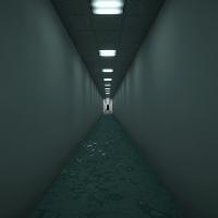 DIVERGENCES, 2023, © Federica Sasso with Luca Pagan and Italian Institute of Technology Ars Electronica, Film, biosensors, VR, sound