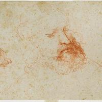 Leonardo da Vinci, Tre vedute di testa virile con barba