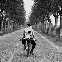 Elliott Erwitt, FRANCE, Provence, 1955; 50x60cm © Elliott Erwitt