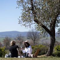Cantine Aperte 2026