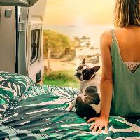 Viaggiare in camper: animali, cultura e letteratura 