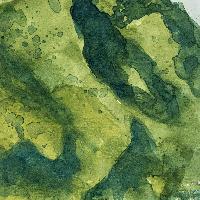 Como: impressioni ad acquerello alla Pinacoteca Civica 