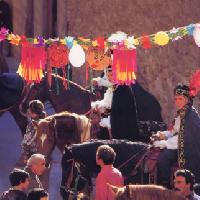 Carnevale di Barrafranca - A.A.P.I.T. ENNA