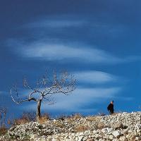 Mattinata - Foto Comunità Montana del Gargano