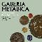 Galleria Metallica 