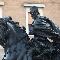I gruppi equestri dei Farnese e la scultura contemporanea 
