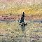 Claude Monet (1840-1926) Barca a vela. Effetto sera, 1885 